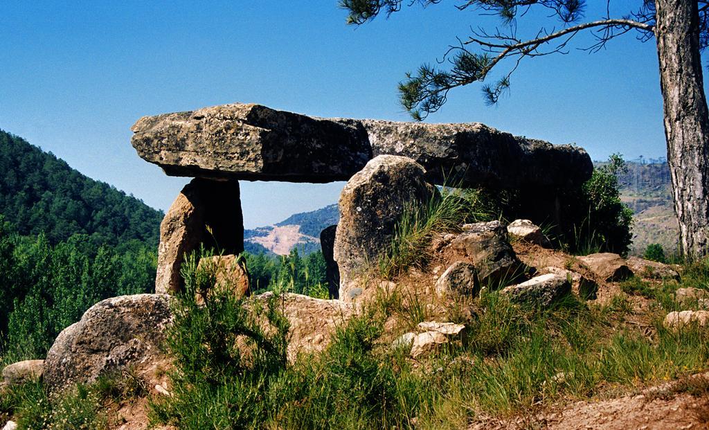 Tiurana Masia Massanes旅馆 外观 照片
